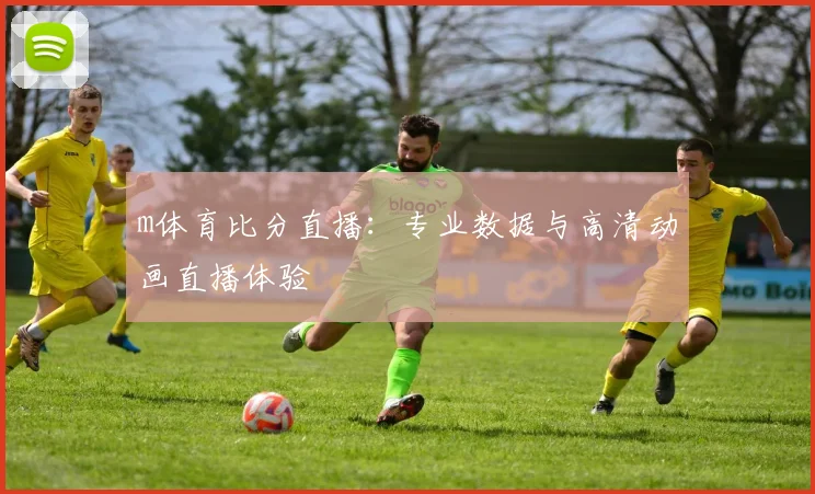 m体育比分直播:专业数据与高清动画直播体验