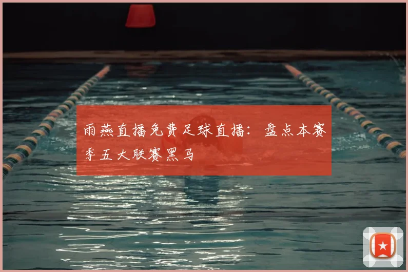 雨燕直播免费足球直播：盘点本赛季五大联赛黑马