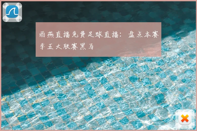 雨燕直播免费足球直播：盘点本赛季五大联赛黑马