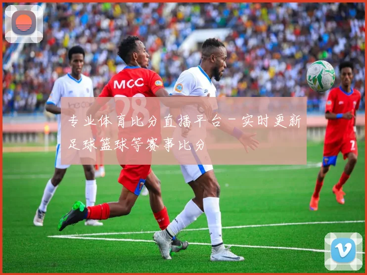 专业体育比分直播平台 - 实时更新足球篮球等赛事比分