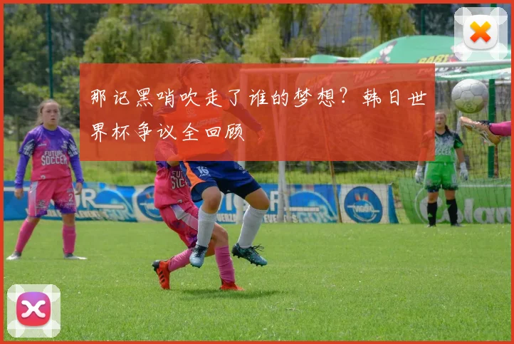 那记黑哨吹走了谁的梦想？韩日世界杯争议全回顾