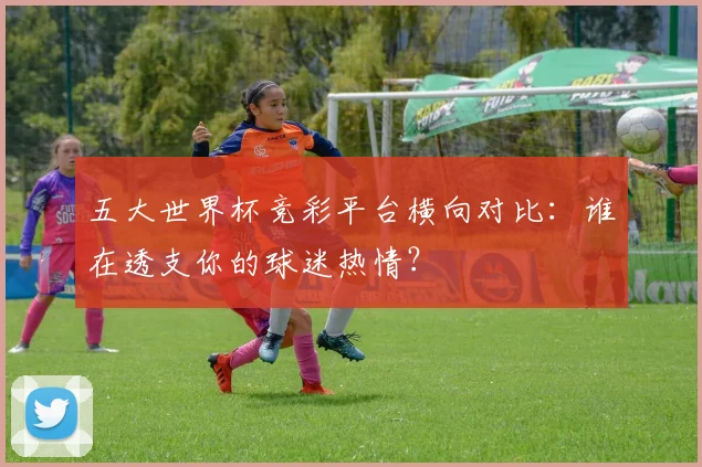 五大世界杯竞彩平台横向对比：谁在透支你的球迷热情？