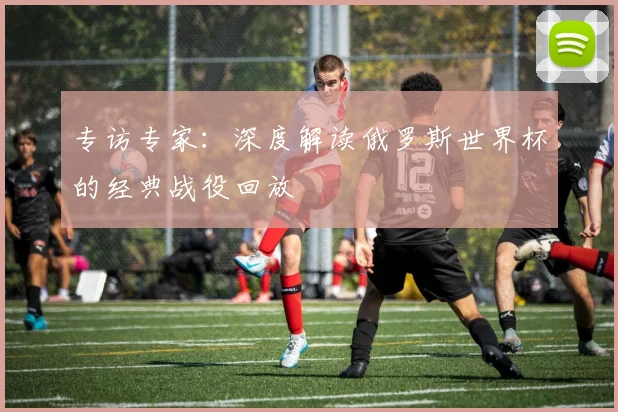 专访专家：深度解读俄罗斯世界杯的经典战役回放