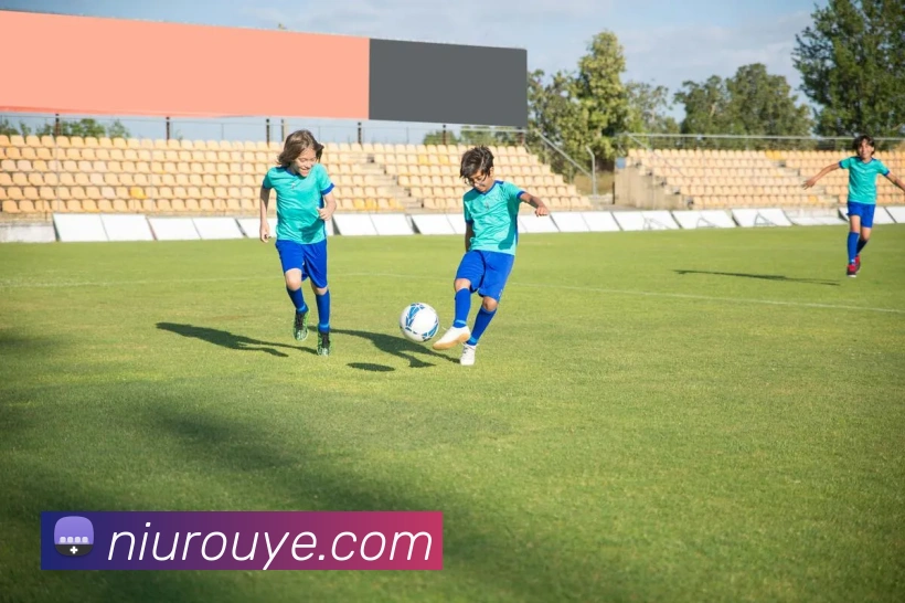 emc易倍官网入口发展历程